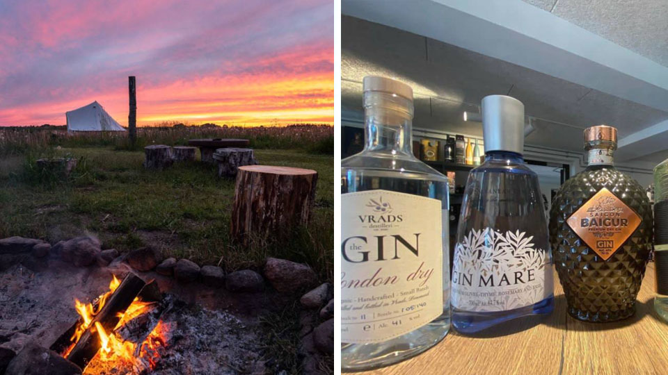 I en gin walk kombineres en gåtur i naturen med ginsmagning