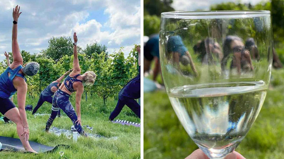 Nyd en oplevelse med yoga og vin på Guldbæk Vingård