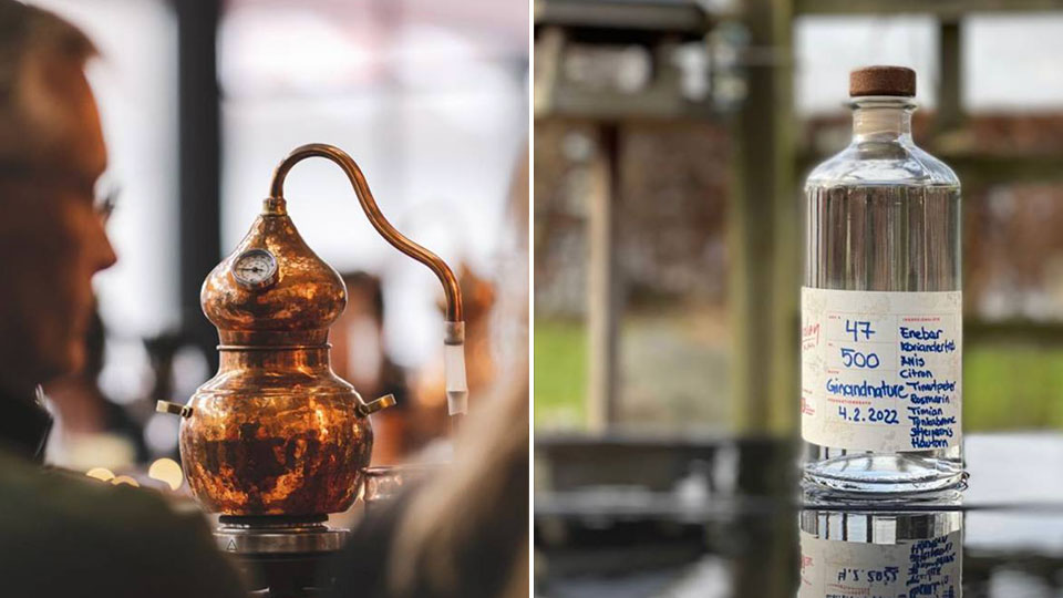 Ginsmagning hos GinSkolen – smag 5 gins og oplev ginnens verden