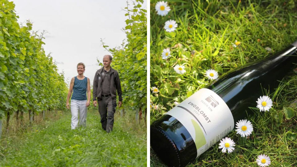 Vinsmagning & rundvisning hos Tusen Vin med økologisk vin og vinmark