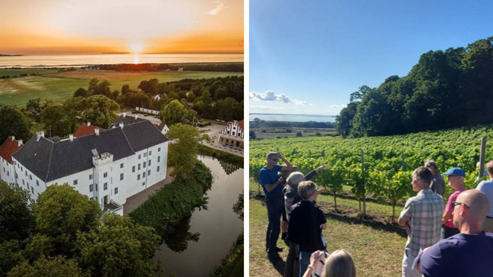 Wine & Hike med The Shepherd med vandring, Dragsholm Slot og økologisk vin